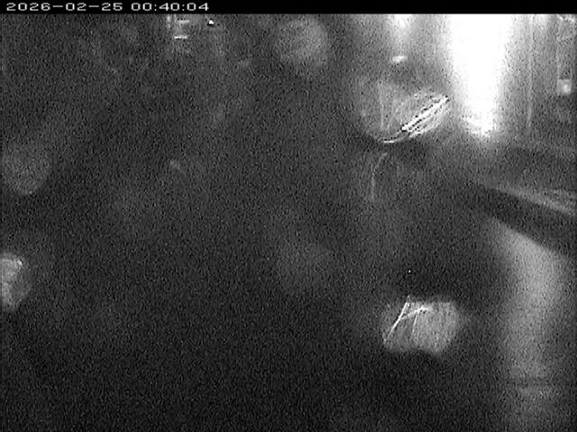 加茂川１2026/02/25 2:40:00