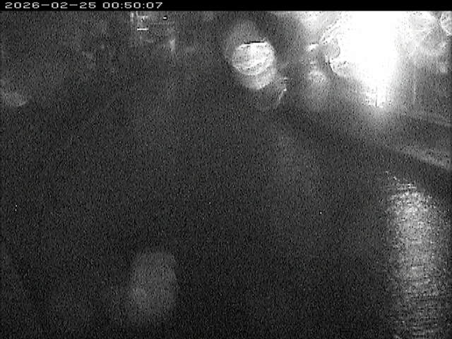 加茂川１2026/02/25 2:40:00