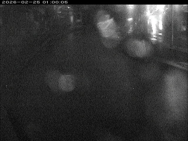 加茂川１2026/02/25 2:40:00