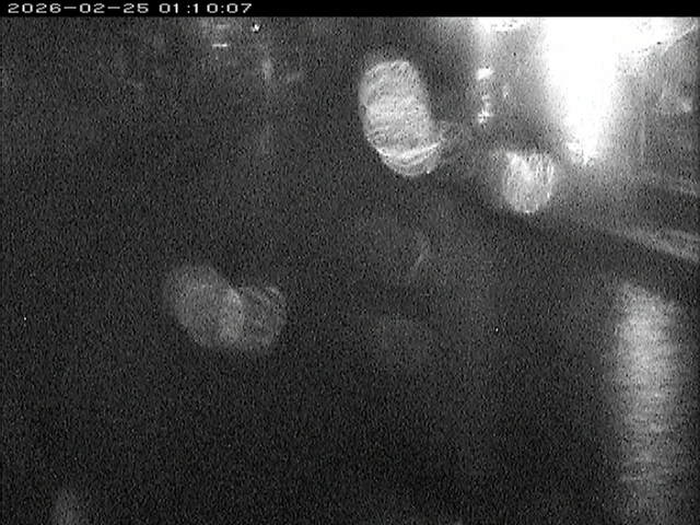 加茂川１2026/02/25 2:40:00