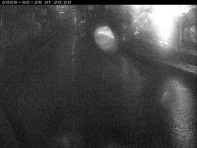 加茂川１2026/02/25 2:40:00