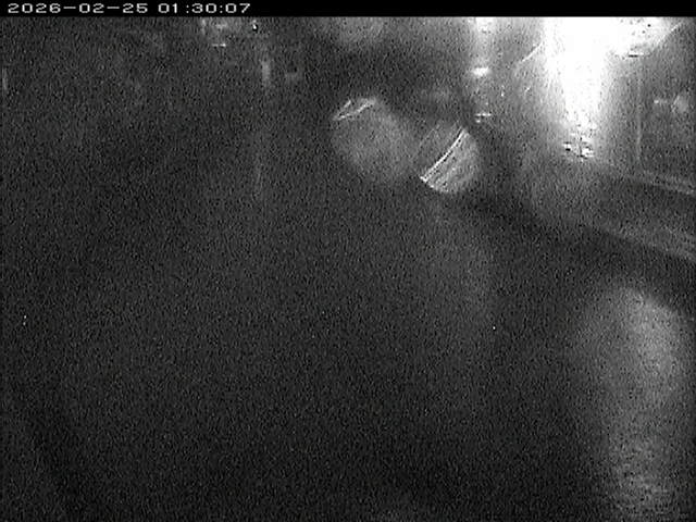 加茂川１2026/02/25 2:40:00