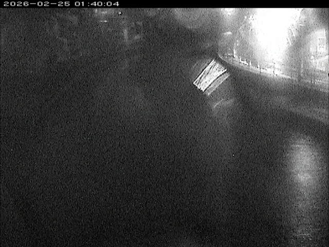 加茂川１2026/02/25 2:40:00