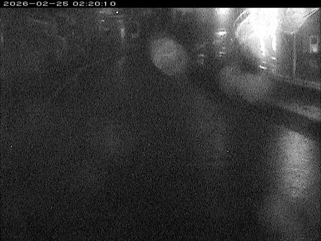 加茂川１2026/02/25 2:40:00