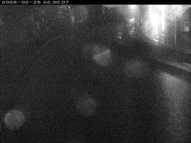 加茂川１2026/02/25 2:40:00