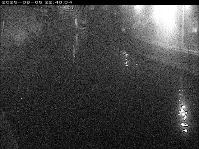 加茂川１2025/06/06 1:40:00