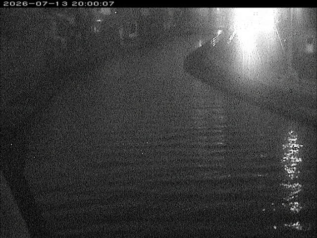 加茂川１2026/07/14 15:20:00