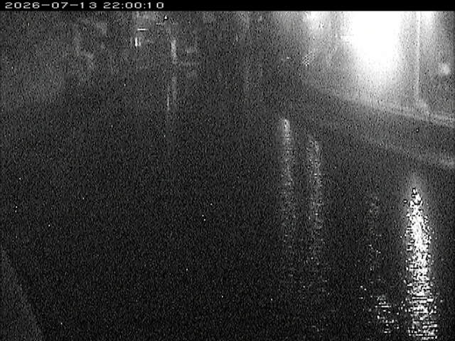 加茂川１2026/07/14 15:20:00
