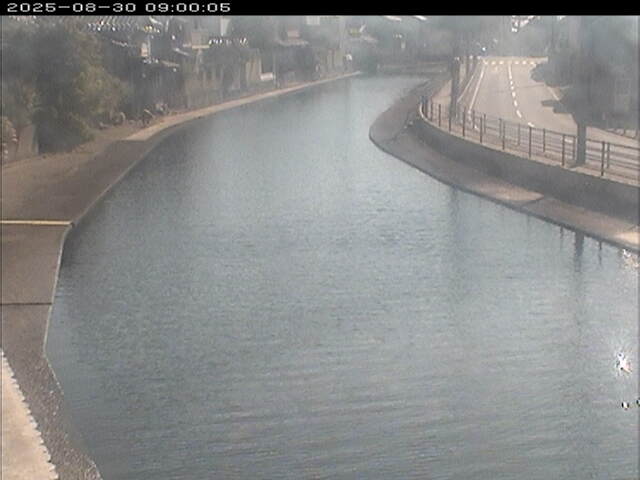 加茂川１2025/08/31 9:10:00