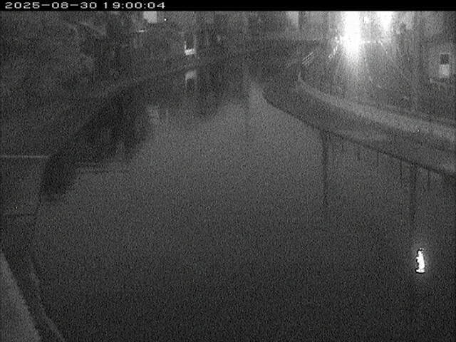 加茂川１2025/08/31 9:10:00