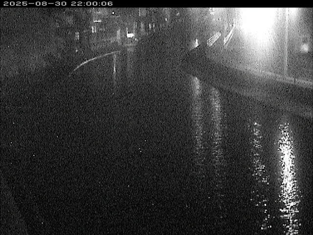加茂川１2025/08/31 9:10:00
