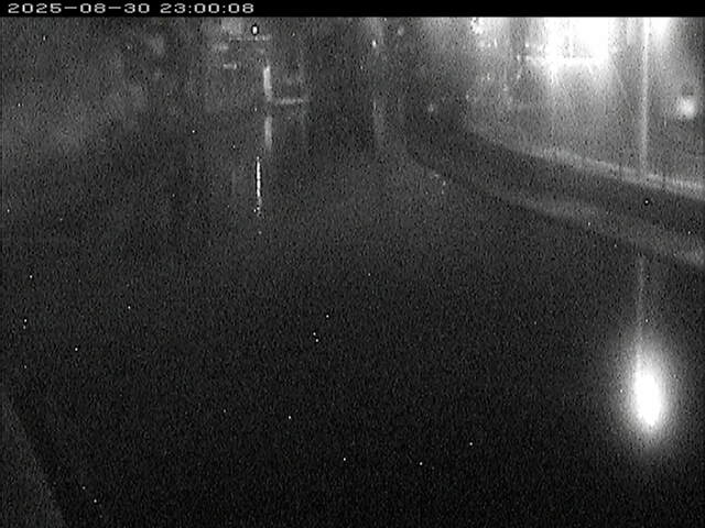 加茂川１2025/08/31 9:10:00