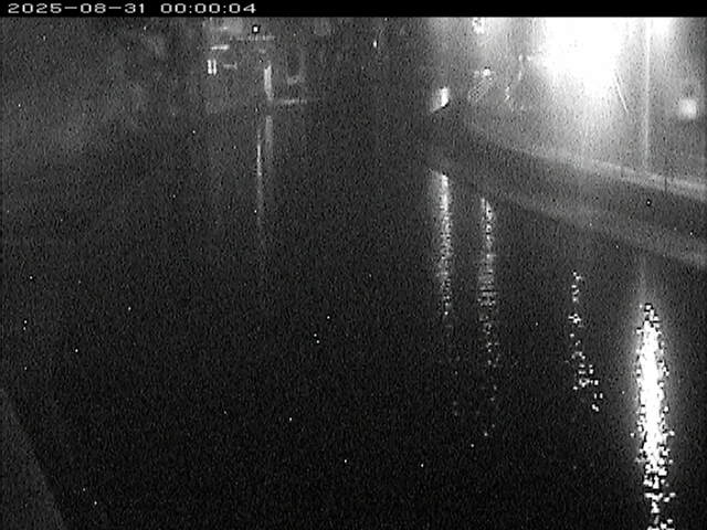 加茂川１2025/08/31 9:10:00