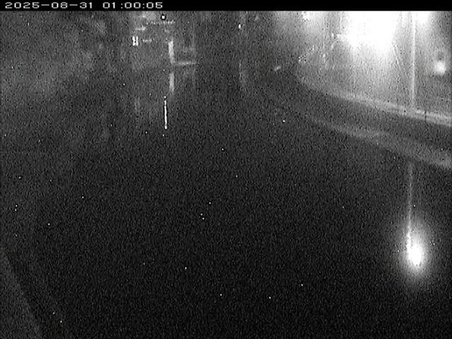 加茂川１2025/08/31 9:10:00