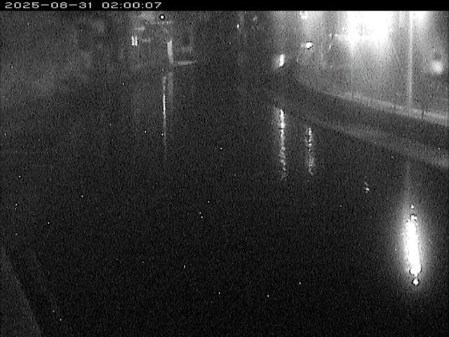 加茂川１2025/08/31 9:10:00