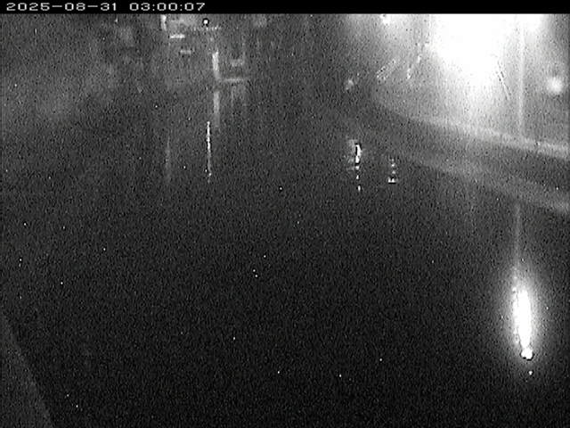 加茂川１2025/08/31 9:10:00