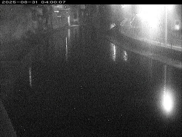 加茂川１2025/08/31 9:10:00