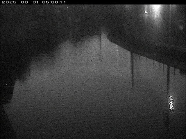 加茂川１2025/08/31 9:10:00