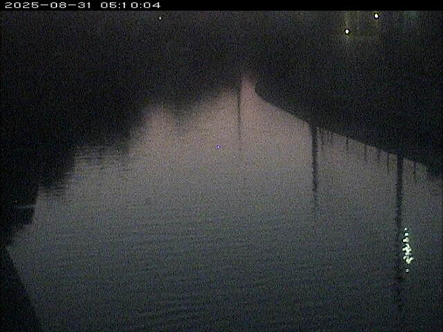 加茂川１2025/08/31 9:10:00
