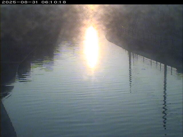 加茂川１2025/08/31 9:10:00