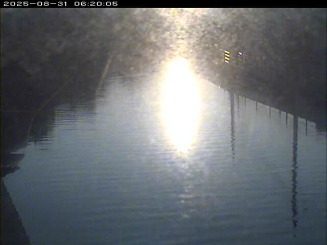 加茂川１2025/08/31 9:10:00