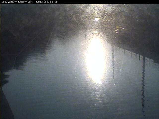加茂川１2025/08/31 9:10:00