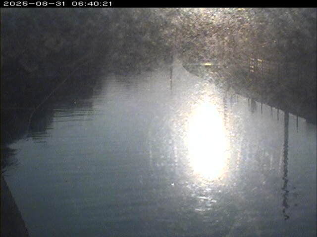 加茂川１2025/08/31 9:10:00