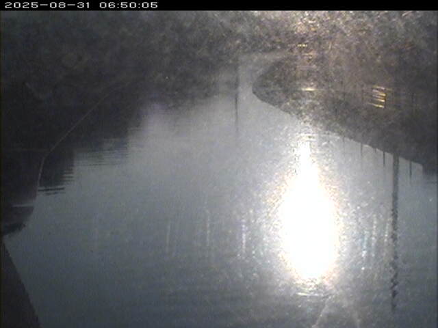 加茂川１2025/08/31 9:10:00