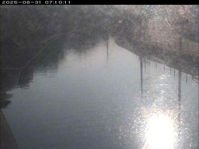 加茂川１2025/08/31 9:10:00