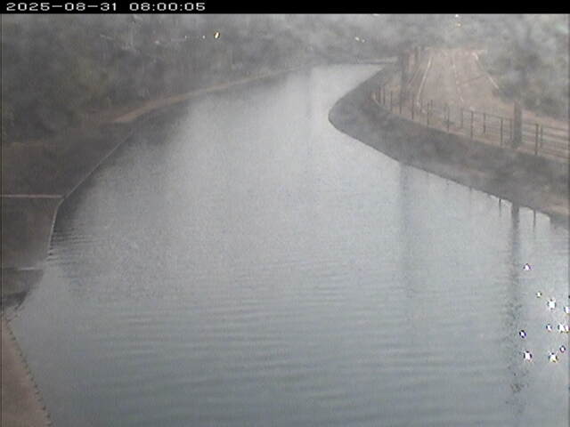 加茂川１2025/08/31 9:10:00