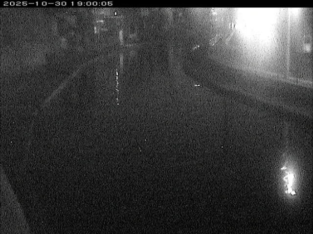 加茂川12025/10/31 07:50