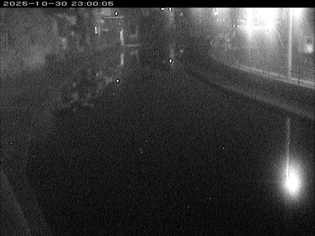 加茂川12025/10/31 07:50