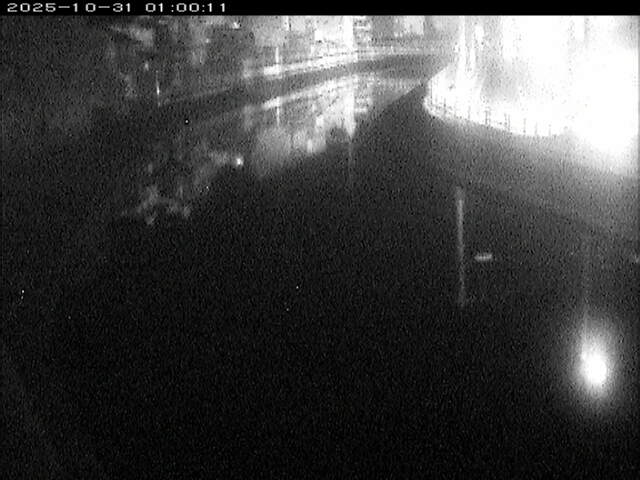 加茂川12025/10/31 07:50