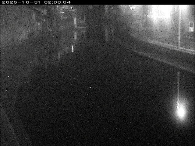 加茂川12025/10/31 07:50