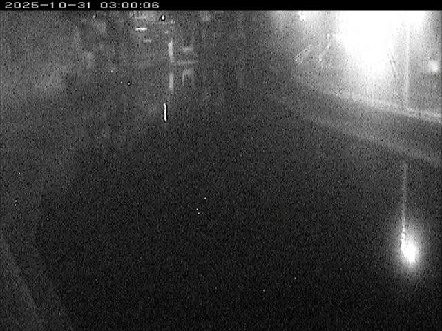 加茂川12025/10/31 07:50