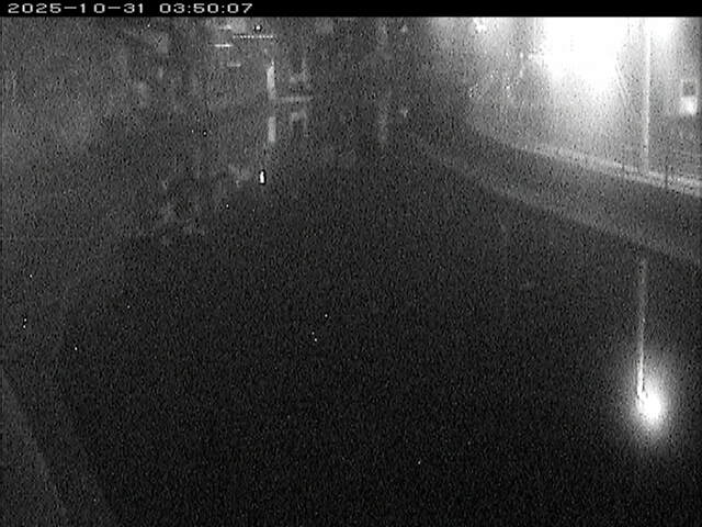 加茂川12025/10/31 07:50