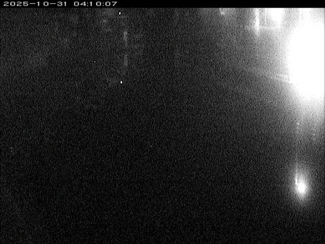 加茂川12025/10/31 07:50