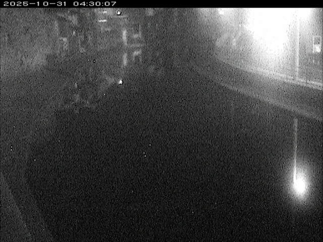 加茂川12025/10/31 07:50