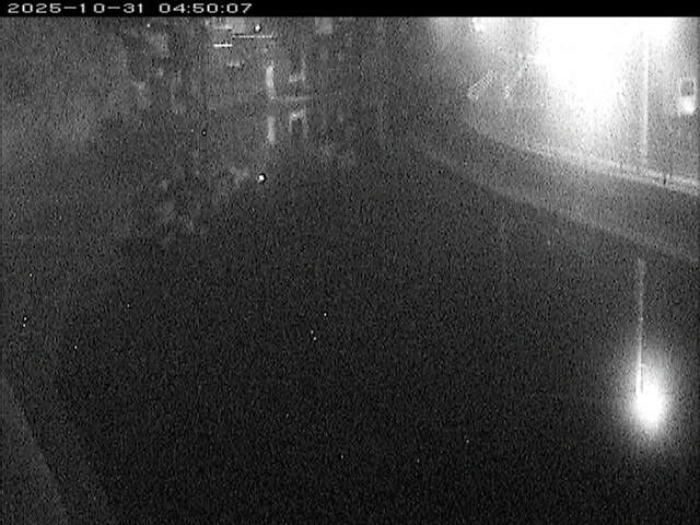 加茂川12025/10/31 07:50