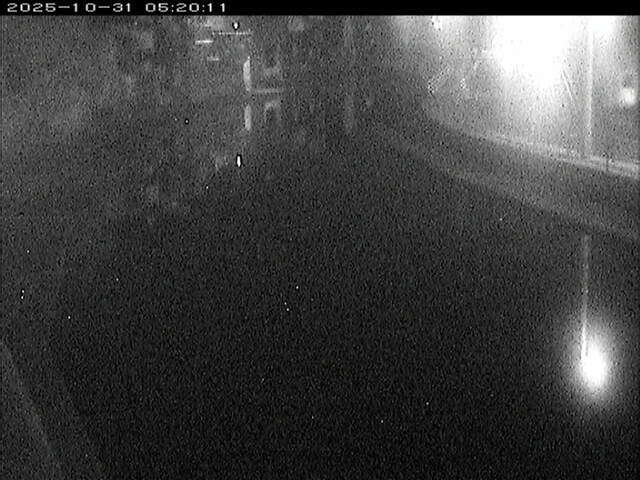 加茂川12025/10/31 07:50