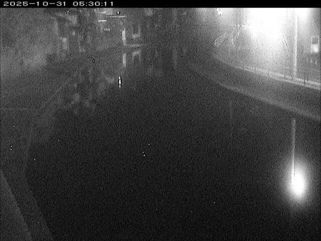 加茂川12025/10/31 07:50