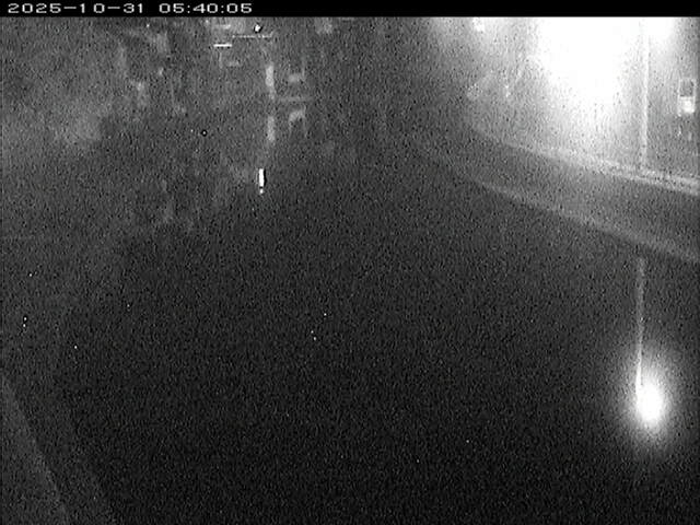 加茂川12025/10/31 07:50