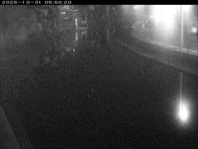 加茂川12025/10/31 07:50