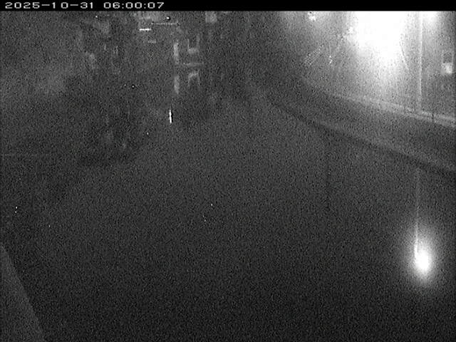 加茂川12025/10/31 07:50