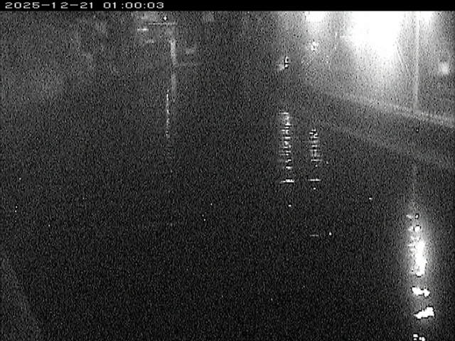 加茂川１2025/12/22 1:00:00