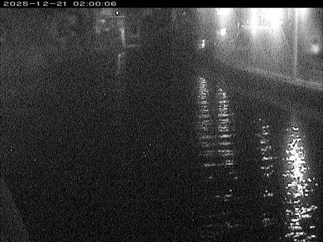 加茂川１2025/12/22 1:00:00