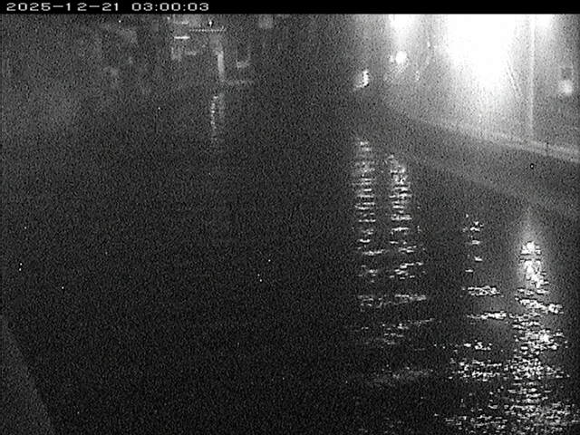 加茂川１2025/12/22 1:00:00