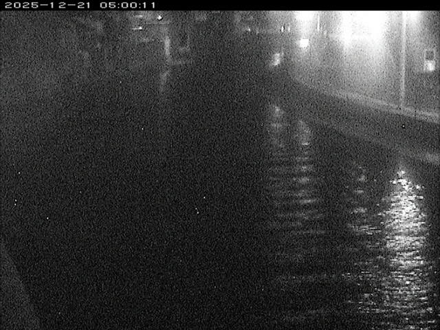 加茂川１2025/12/22 1:00:00