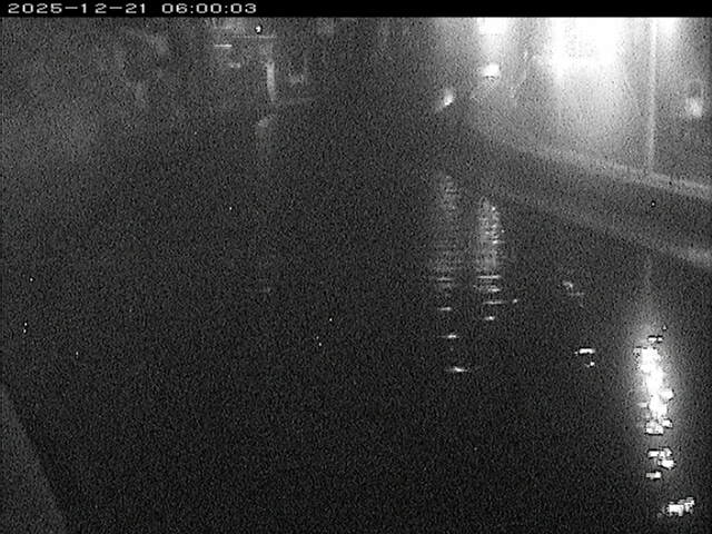 加茂川１2025/12/22 1:00:00