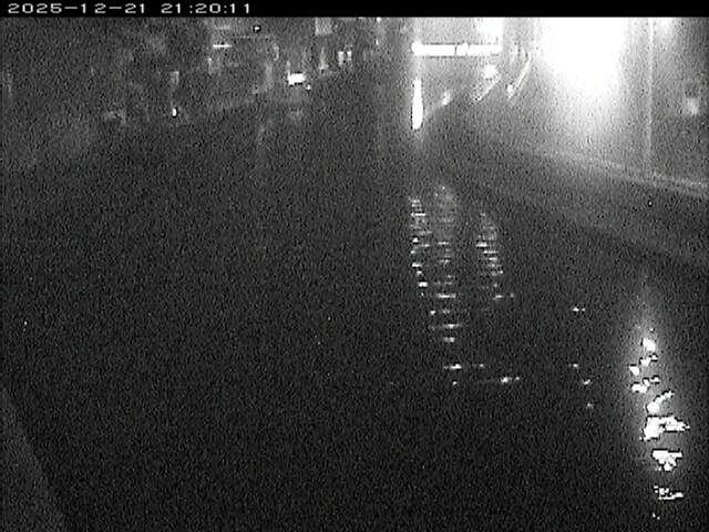 加茂川１2025/12/22 1:00:00